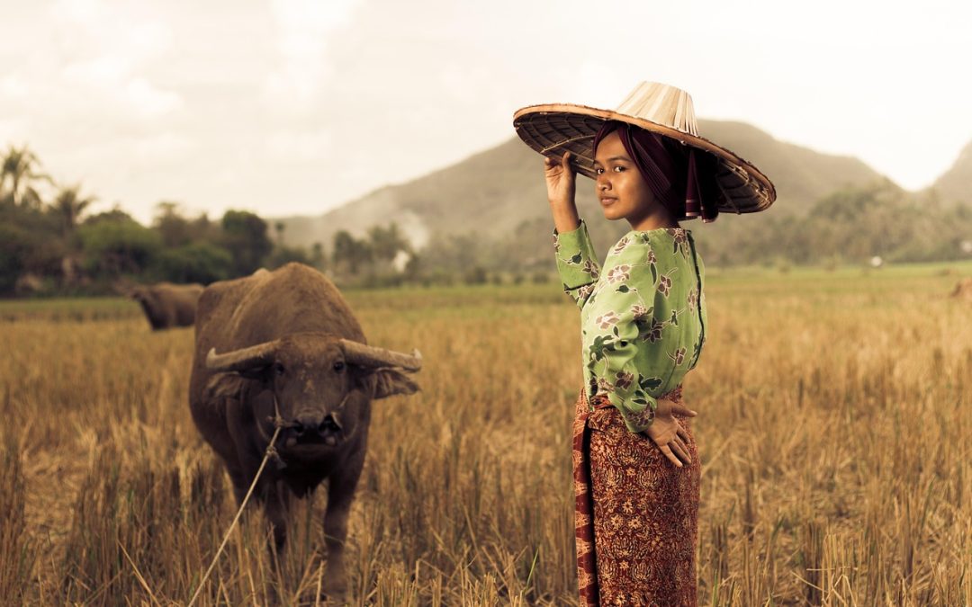 Tahapan Penerbitan BPJS di Dinas Kesehatan Kabupaten Manokwari Selatan